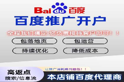 百度推广公司——大品牌背后的广告策略揭秘